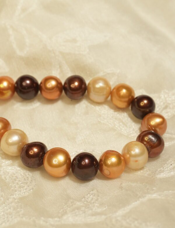 Multi coloured Fresh Water Pearl Necklace with Earrings